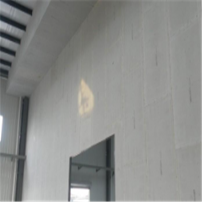 德钦宁波ALC板|EPS加气板隔墙与混凝土整浇联接的实验研讨